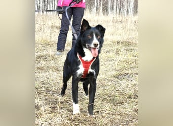 Mike sucht Traumzuhause