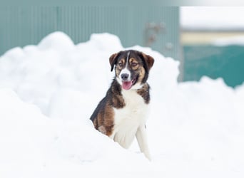 Havier sucht ein aktives Leben...