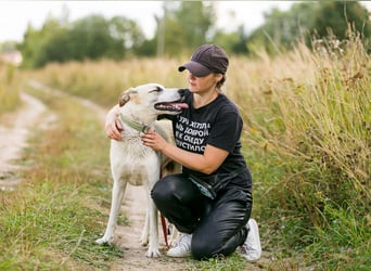 Kannst du Nemo lieben trotz handicap?!