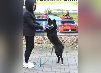 Mike sucht Traumzuhause