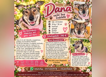 Wundervolle Dana sucht Endstelle