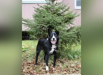 Mike sucht Traumzuhause