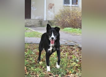 Mike sucht Traumzuhause