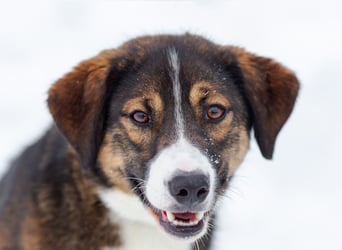 Havier sucht ein aktives Leben...