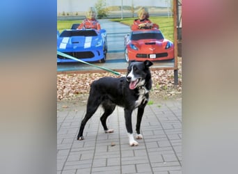 Mike sucht Traumzuhause