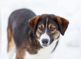 Havier sucht ein aktives Leben...