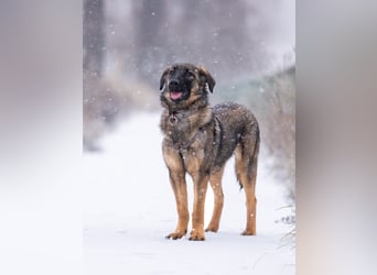 Ein Herz für Vasilisa geben Sie ihr eine Chance auf ein glückliches Leben!