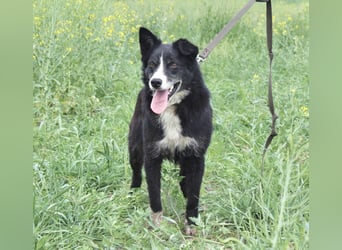 Mike sucht Traumzuhause