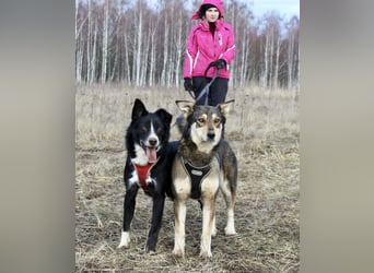 Mike sucht Traumzuhause