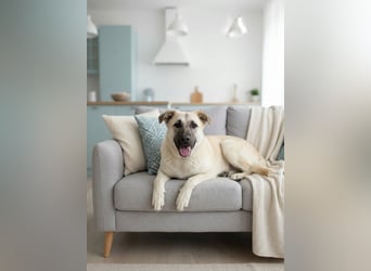 Jessie sucht ein aktives Leben