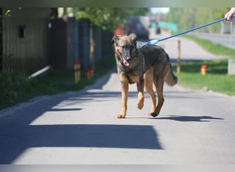 Ein Herz für Vasilisa geben Sie ihr eine Chance auf ein glückliches Leben!