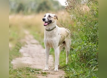 Kannst du Nemo lieben trotz handicap?!