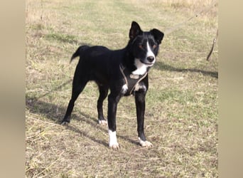 Mike sucht Traumzuhause