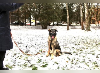 Selbstbewusste Tosya sucht aktive Menschen