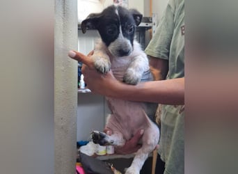 Queenie - auf der Suche nach ihrem Glück ❤