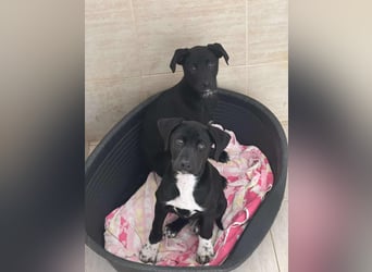 Caleb – ein kleiner Entdecker auf der Suche nach seinem Glück ❤️