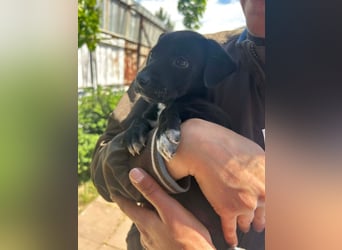 Kleine Grace sucht ihr großes Glück ❤