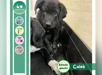Caleb – ein kleiner Entdecker auf der Suche nach seinem Glück ❤️