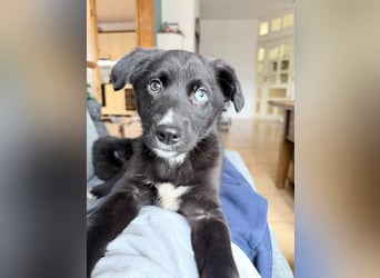 Naira – kleine Entdeckerin auf der Suche nach ihrem Für-immer-Zuhause ❤️