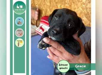 Kleine Grace sucht ihr großes Glück ❤