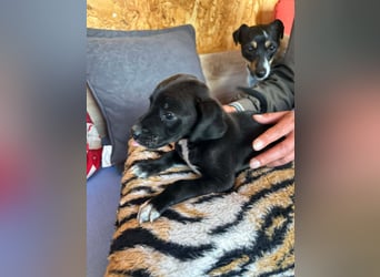 Kleine Grace sucht ihr großes Glück ❤