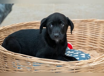 Caleb – ein kleiner Entdecker auf der Suche nach seinem Glück ❤️