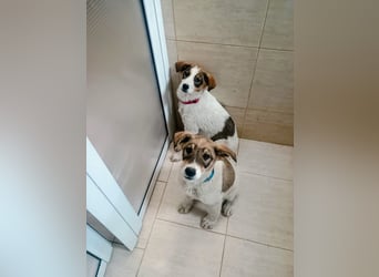 Kleien Lisha sucht Menschen mit Herz ❤