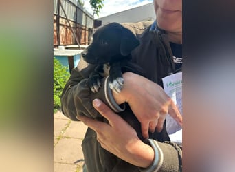 Kleine Grace sucht ihr großes Glück ❤