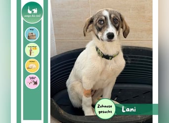 Kleine Lani sucht ihr Zuhause ❤
