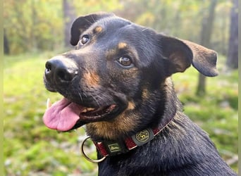 Loki - ist kinderfreundlich