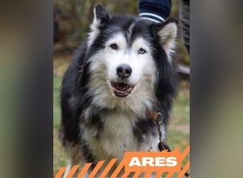 Ares