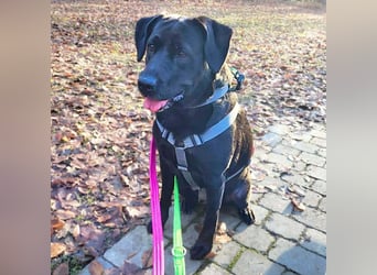 Lucy - ist kinderlieb