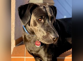 Lucy - ist kinderlieb