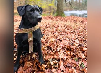 Lucy - ist kinderlieb