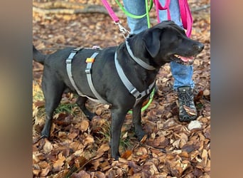 Lucy - ist kinderlieb