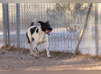 ❤️ BARTOLO❤️