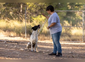 ❤️ BARTOLO❤️