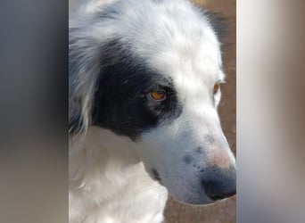 Margherita sucht ihr Glück