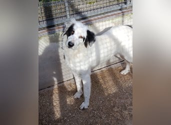 Margherita sucht ihr Glück