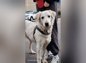 Serena möchte ankommen