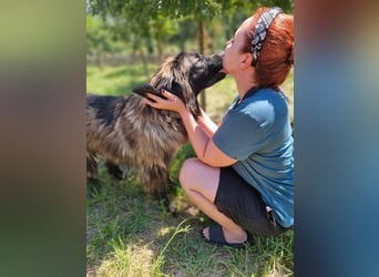 Tessa sucht ihre Menschen