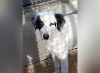 Margherita sucht ihr Glück