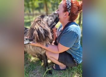 Tessa sucht ihre Menschen