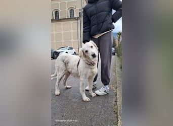 Serena möchte ankommen