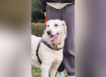 Serena möchte ankommen