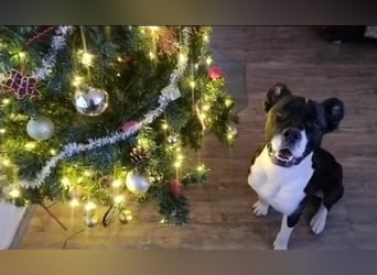 Paul sucht Endstelle