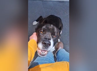 Paul sucht Endstelle