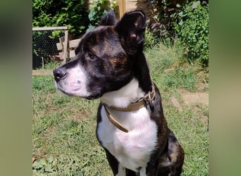 Paul sucht Endstelle