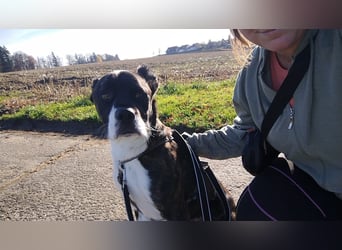 Paul sucht Endstelle