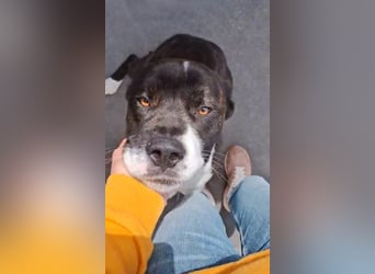 Paul sucht Endstelle